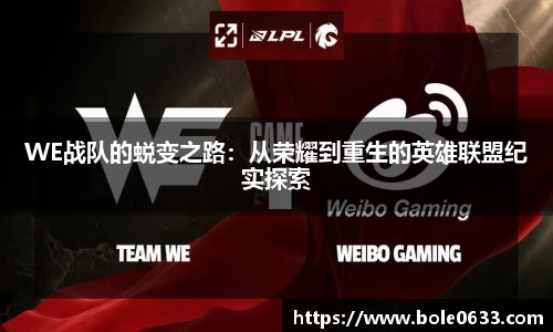 哈哈体育app官网入口